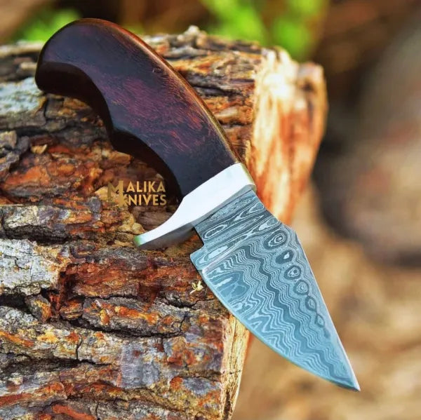 Mini Hollow Grind Hunting Knife: Rose wood Handle & Custom sheath-0347