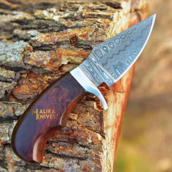 Mini Hollow Grind Hunting Knife: Rose wood Handle & Custom sheath-0347