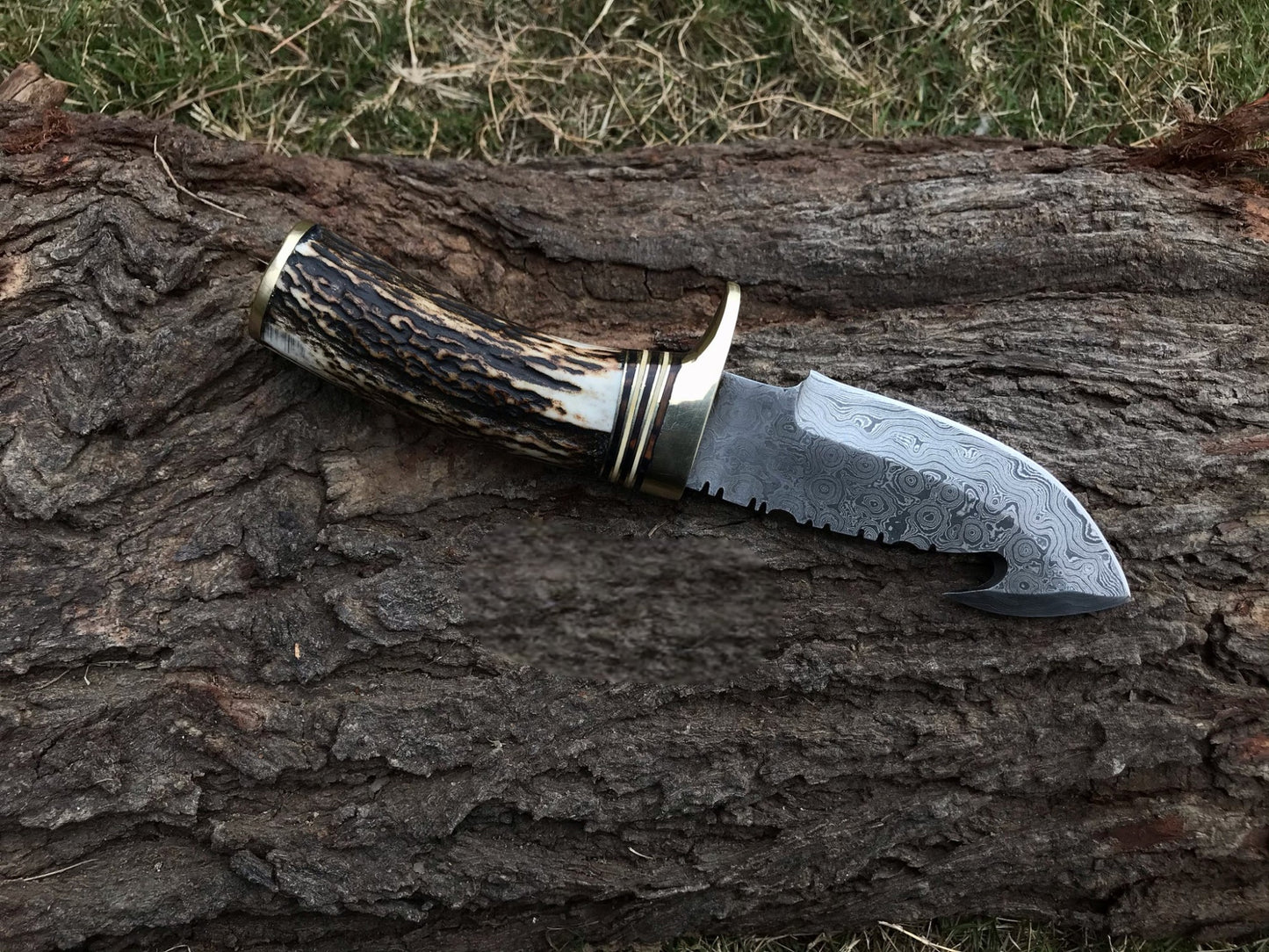 Damascus Gut Hook Skinning Knife – Stag Horn Handle