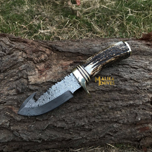 Handmade Damascus gut hook hunting knife with stag horn handle and brass guard on leather sheath.