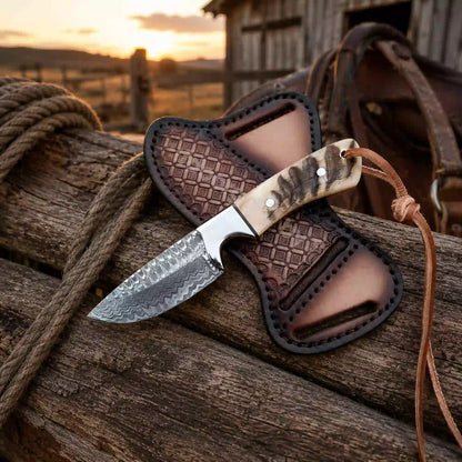 Damascus buckaroo knife with ram horn handle